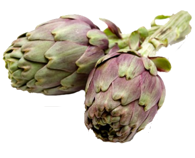 Carciofi