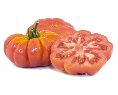 Pomodori
